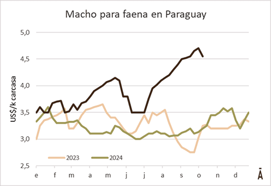 Image related to report content