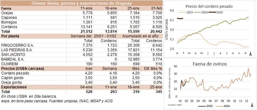 Image related to report content