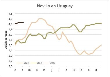 Image related to report content