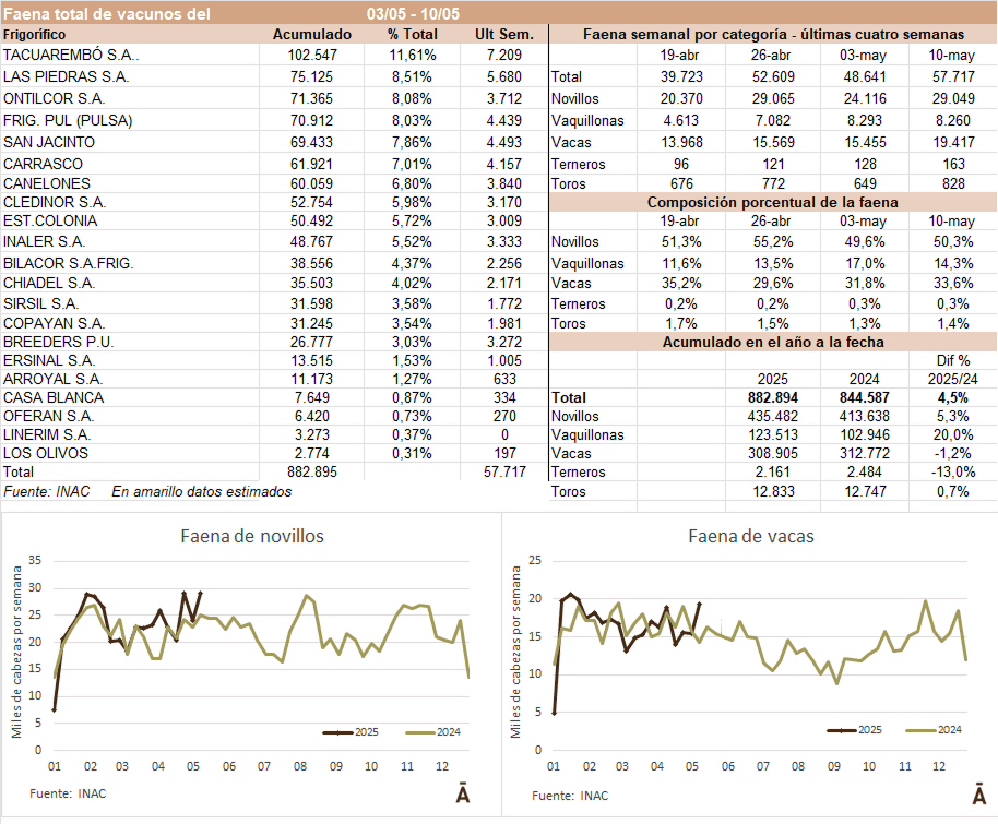 Image related to report content