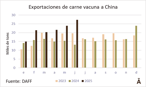 Image related to report content