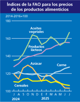 Image related to report content