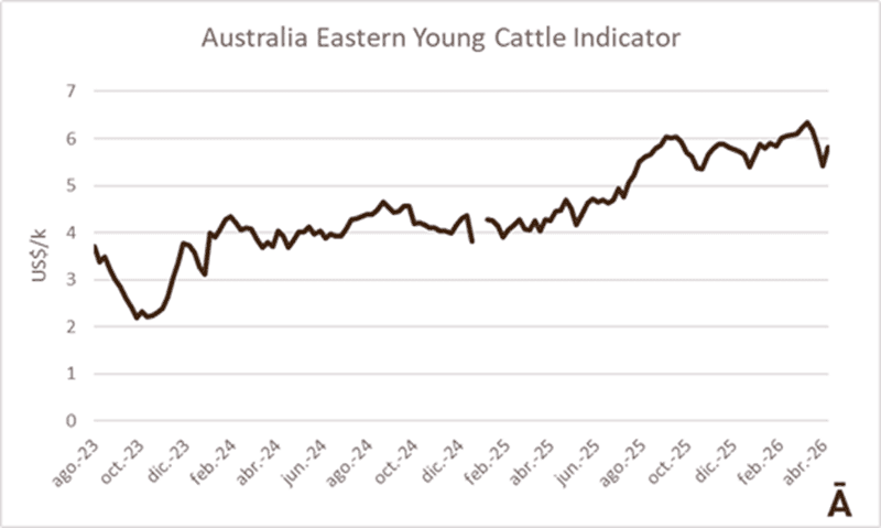 Image related to report content