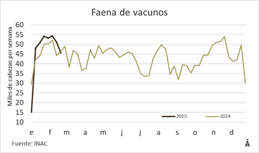 Image related to report content