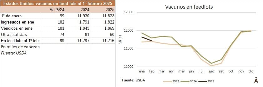 Image related to report content