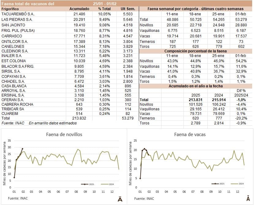 Image related to report content