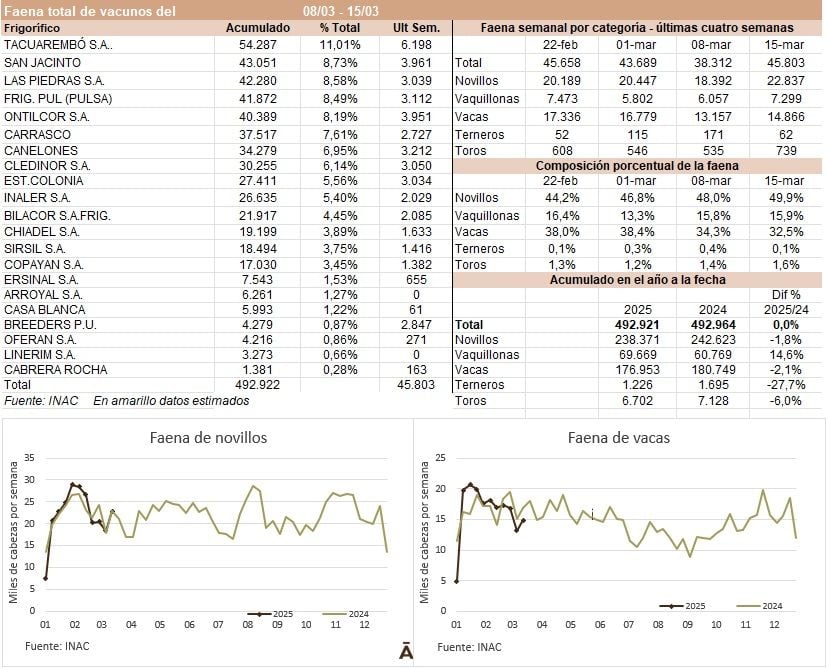 Image related to report content