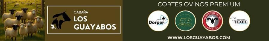 Image related to report content