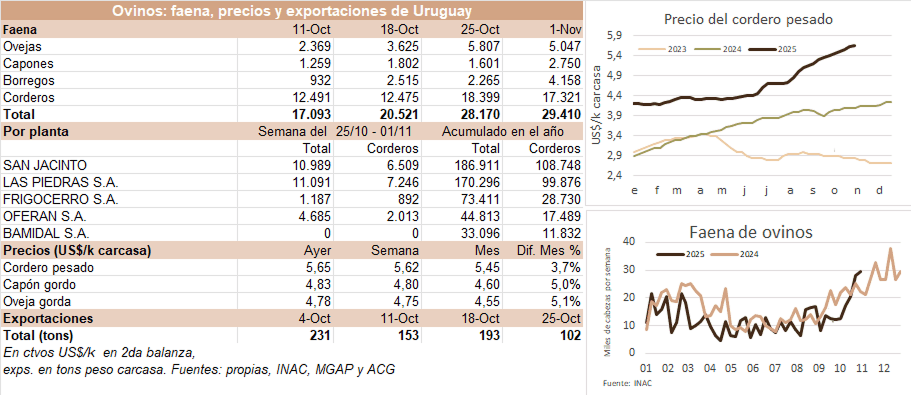 Image related to report content