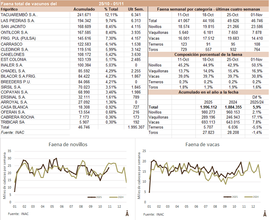 Image related to report content