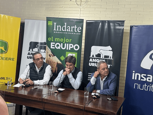 Image related to report content