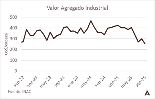 Image related to report content