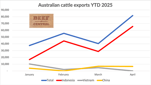 Image related to report content