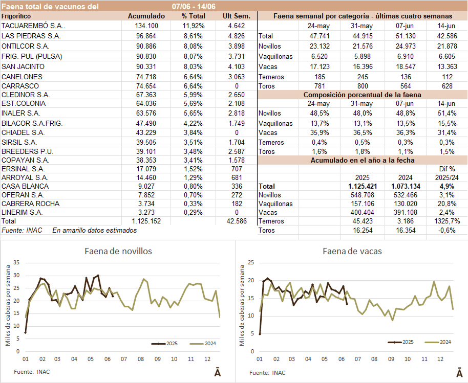 Image related to report content