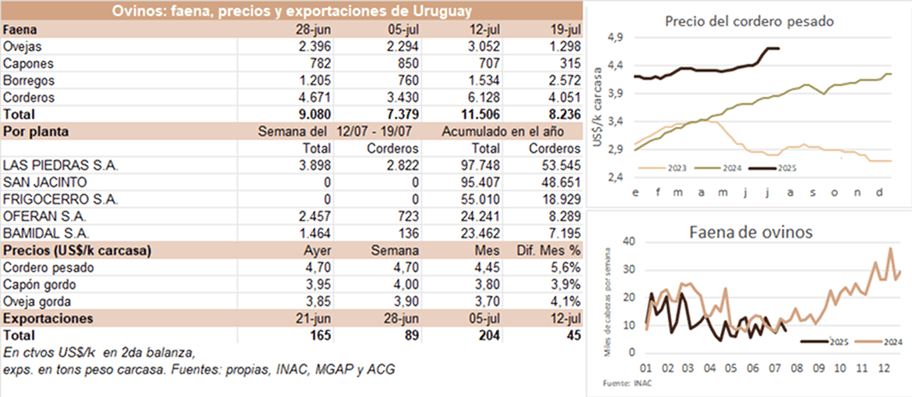 Image related to report content