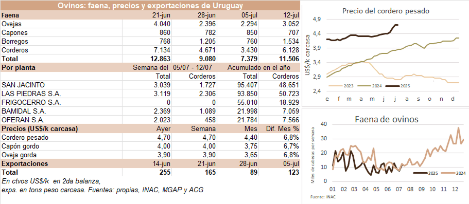 Image related to report content