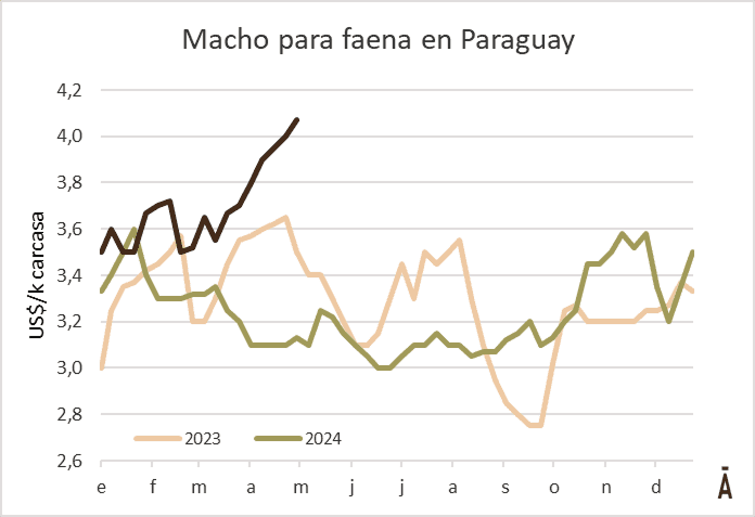 Image related to report content